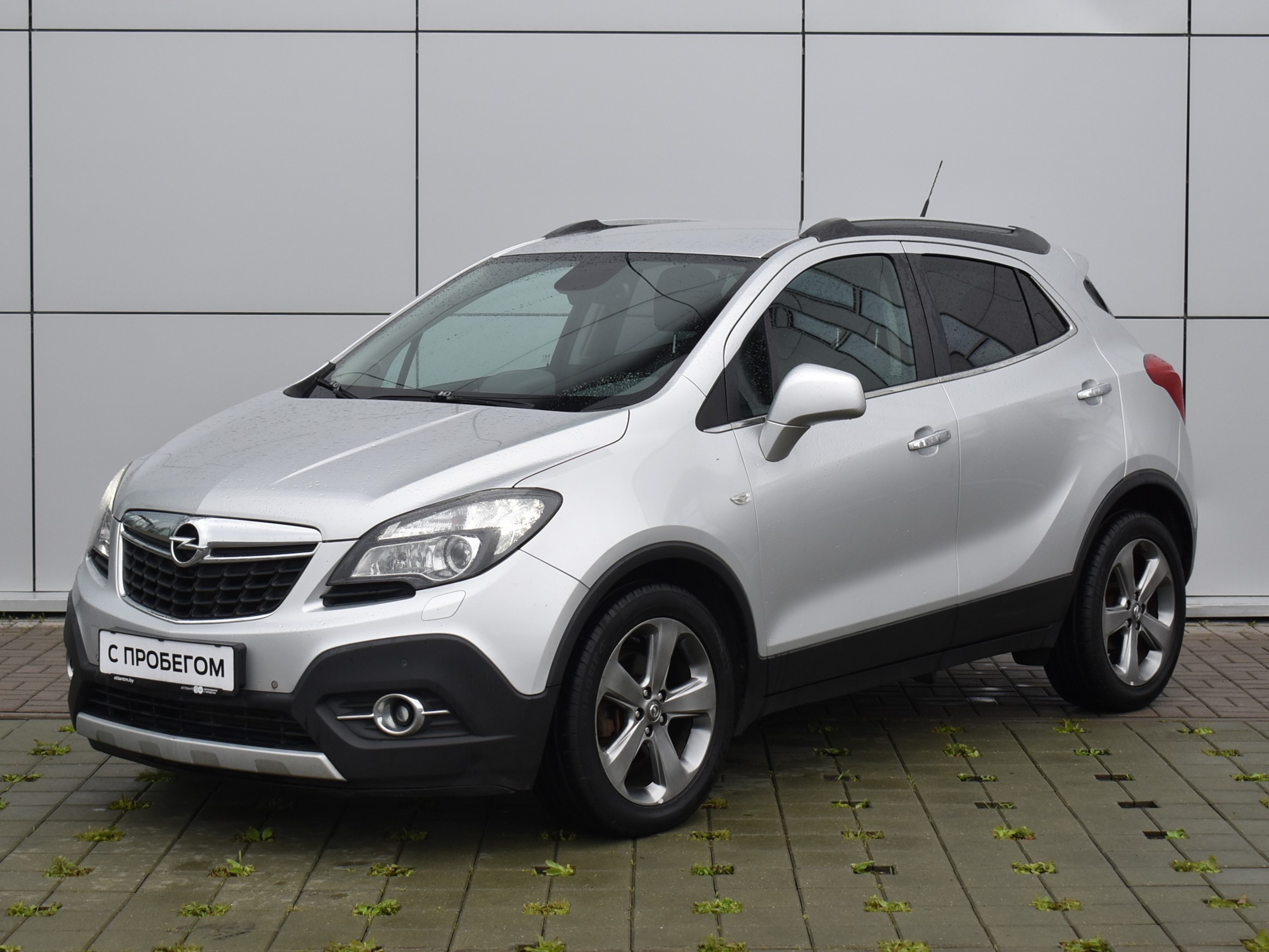 Mokka