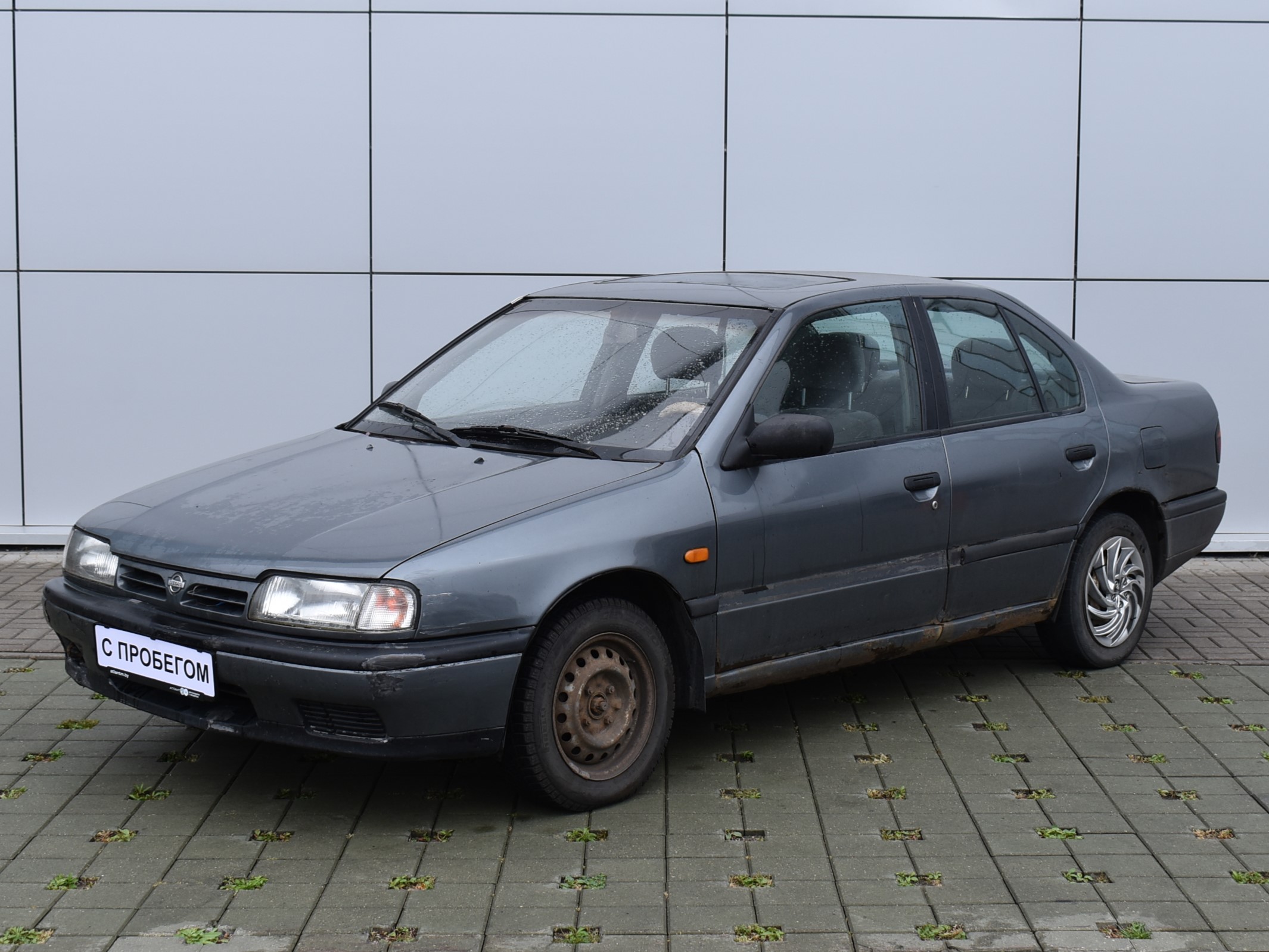 Nissan Primera